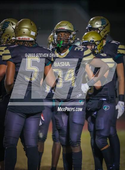 Thumbnail 2 in Casteel @ Basha photogallery.