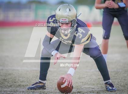 Thumbnail 1 in Casteel @ Basha photogallery.