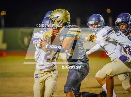 Thumbnail 1 in Casteel @ Basha photogallery.