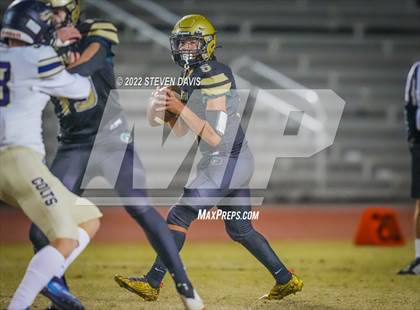 Thumbnail 1 in Casteel @ Basha photogallery.
