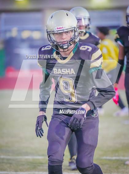 Thumbnail 2 in Casteel @ Basha photogallery.