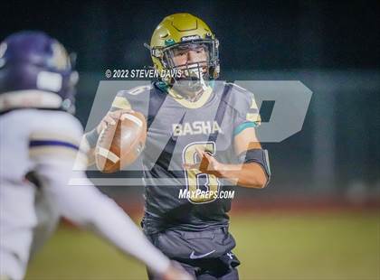 Thumbnail 2 in Casteel @ Basha photogallery.