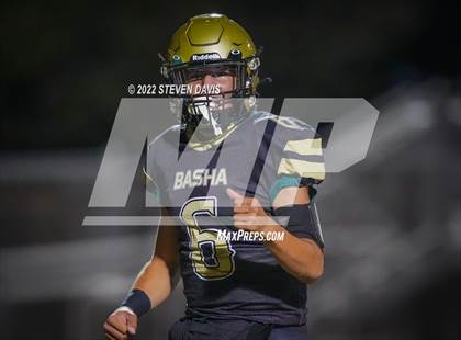 Thumbnail 3 in Casteel @ Basha photogallery.