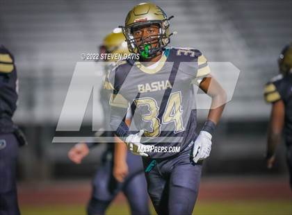 Thumbnail 2 in Casteel @ Basha photogallery.