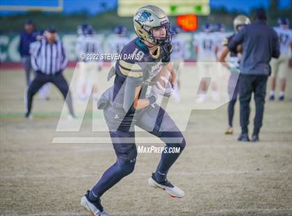 Thumbnail 2 in Casteel @ Basha photogallery.