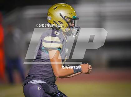 Thumbnail 2 in Casteel @ Basha photogallery.