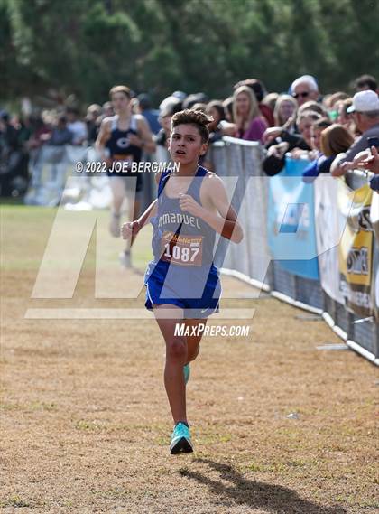 Thumbnail 1 in CIF Central Section Cross Country Championships (Boys D5 Race) photogallery.