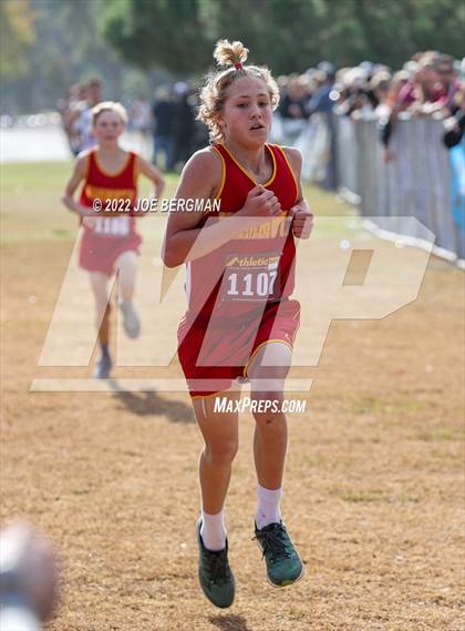 Thumbnail 2 in CIF Central Section Cross Country Championships (Boys D5 Race) photogallery.