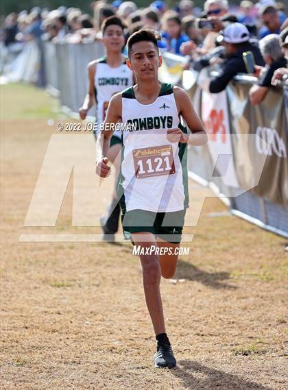 Thumbnail 3 in CIF Central Section Cross Country Championships (Boys D5 Race) photogallery.