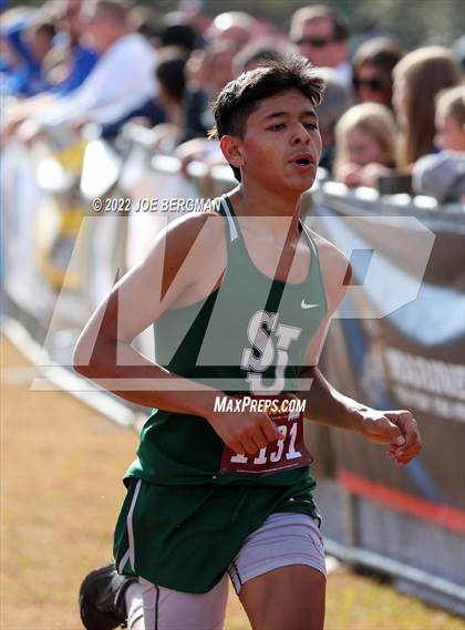 Thumbnail 1 in CIF Central Section Cross Country Championships (Boys D5 Race) photogallery.