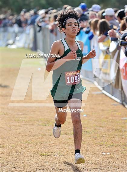 Thumbnail 3 in CIF Central Section Cross Country Championships (Boys D5 Race) photogallery.