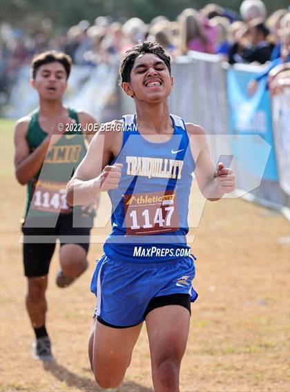 Thumbnail 1 in CIF Central Section Cross Country Championships (Boys D5 Race) photogallery.