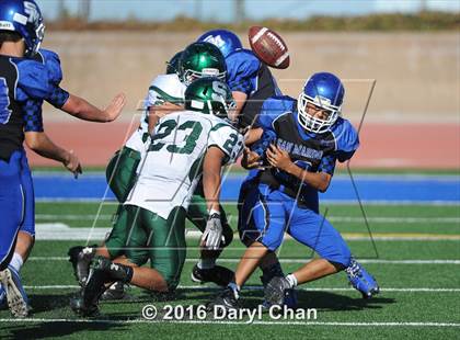 Thumbnail 3 in Schurr @ San Marino photogallery.
