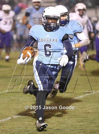 Thumbnail 3 in Clarksville @ Centennial photogallery.