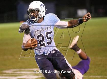 Thumbnail 3 in Clarksville @ Centennial photogallery.
