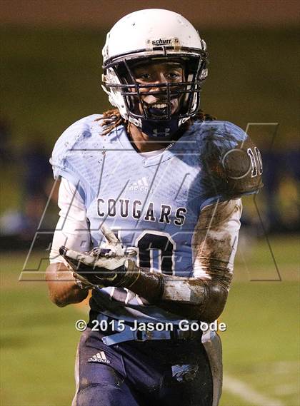 Thumbnail 3 in Clarksville @ Centennial photogallery.