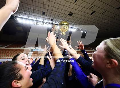 Thumbnail 1 in O'Connor (AIA 6A Final - Awards) photogallery.