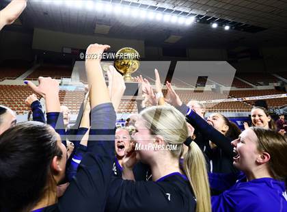 Thumbnail 1 in O'Connor (AIA 6A Final - Awards) photogallery.