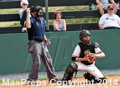 Thumbnail 1 in Sevier County @ Pigeon Forge photogallery.