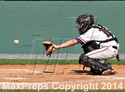 Thumbnail 1 in Sevier County @ Pigeon Forge photogallery.