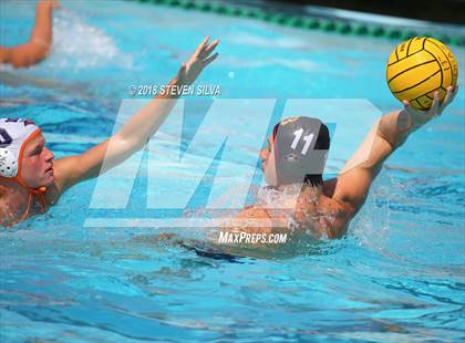 Thumbnail 2 in Bishop's vs. Valhalla (Draz Classic) photogallery.