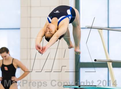 Thumbnail 2 in NEPSAC D2 Diving Championships photogallery.