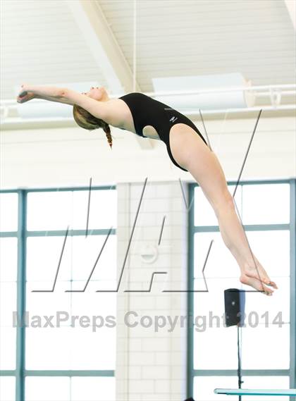 Thumbnail 1 in NEPSAC D2 Diving Championships photogallery.