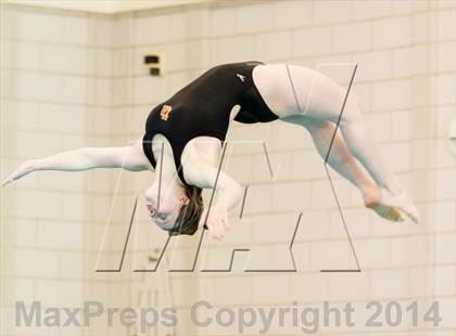 Thumbnail 3 in NEPSAC D2 Diving Championships photogallery.