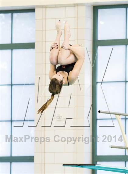 Thumbnail 1 in NEPSAC D2 Diving Championships photogallery.
