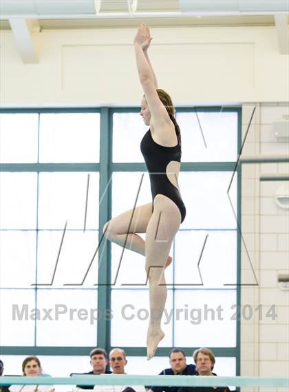 Thumbnail 1 in NEPSAC D2 Diving Championships photogallery.