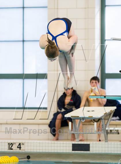 Thumbnail 1 in NEPSAC D2 Diving Championships photogallery.