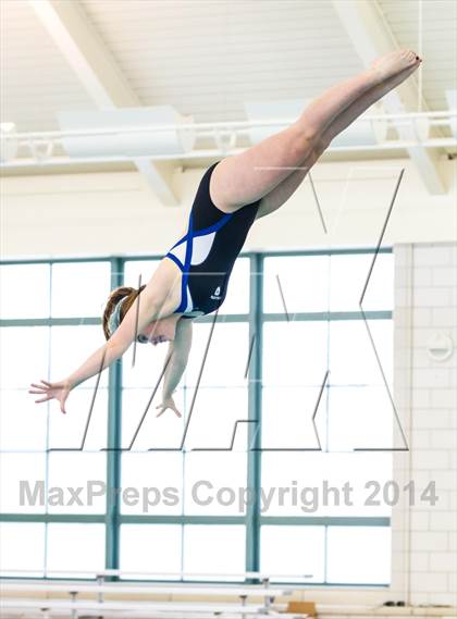 Thumbnail 3 in NEPSAC D2 Diving Championships photogallery.