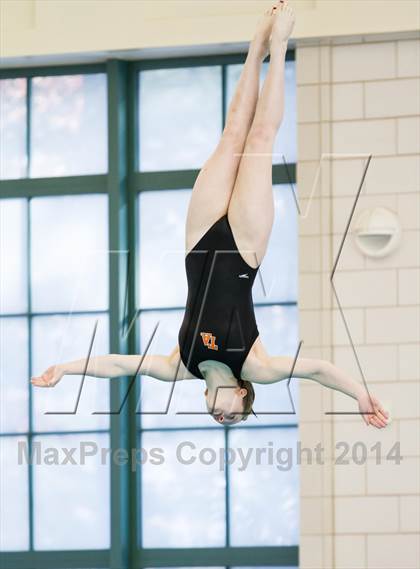 Thumbnail 2 in NEPSAC D2 Diving Championships photogallery.