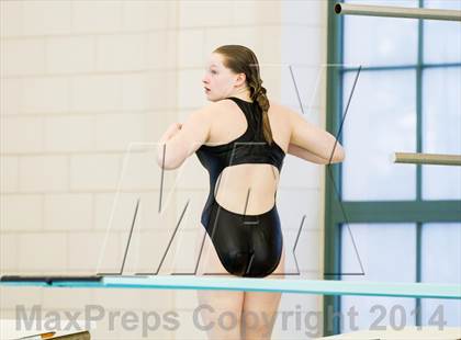 Thumbnail 3 in NEPSAC D2 Diving Championships photogallery.