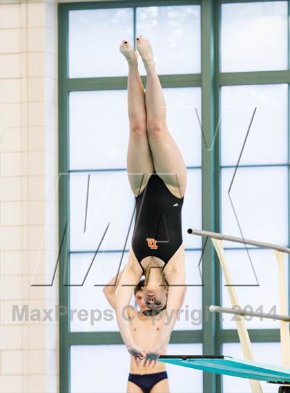 Thumbnail 1 in NEPSAC D2 Diving Championships photogallery.