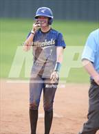 Photo from the gallery "Sheridan @ Malvern"