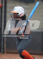 Photo from the gallery "Sheridan @ Malvern"