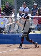 Photo from the gallery "Laguna Creek @ Christian Brothers"