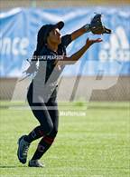 Photo from the gallery "Laguna Creek @ Christian Brothers"