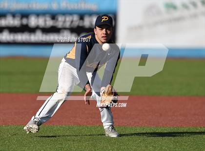 Thumbnail 3 in Pelham @ Beacon (Beacon Spring Bash) photogallery.