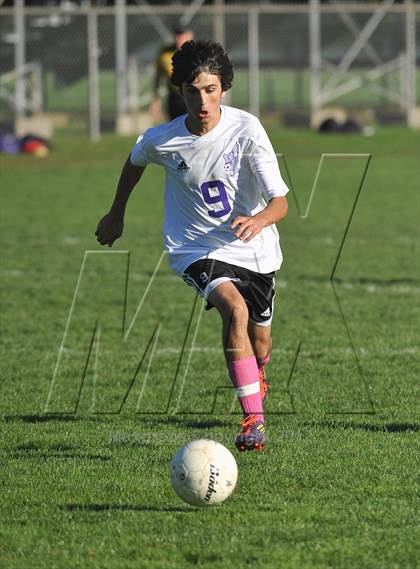 Thumbnail 1 in Sheehan @ North Branford photogallery.