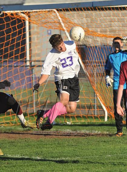Thumbnail 1 in Sheehan @ North Branford photogallery.