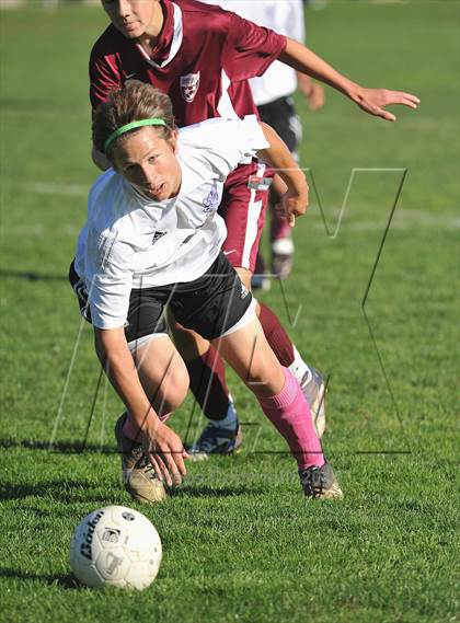 Thumbnail 2 in Sheehan @ North Branford photogallery.