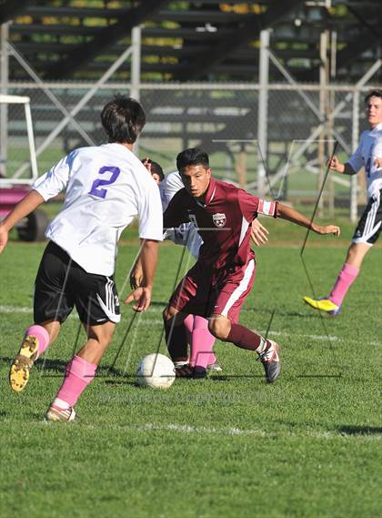 Thumbnail 2 in Sheehan @ North Branford photogallery.
