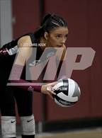 Photo from the gallery "Sunnyside @ Desert View"