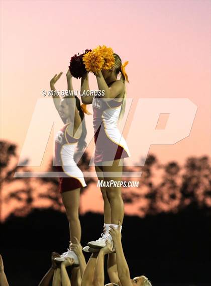 Thumbnail 1 in Bolles @ West Nassau photogallery.