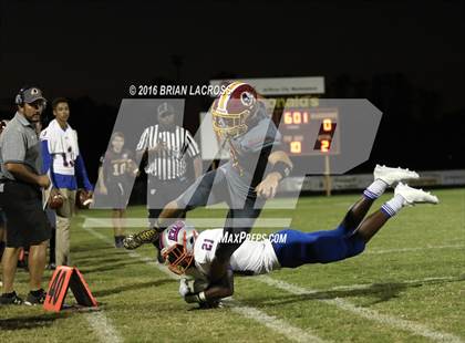 Thumbnail 1 in Bolles @ West Nassau photogallery.
