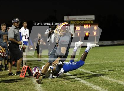 Thumbnail 2 in Bolles @ West Nassau photogallery.