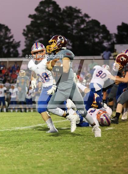 Thumbnail 1 in Bolles @ West Nassau photogallery.