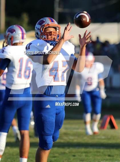 Thumbnail 1 in Bolles @ West Nassau photogallery.